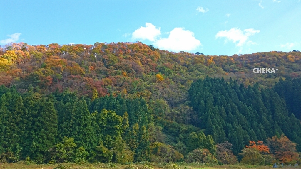 c0229025_08183482.jpg