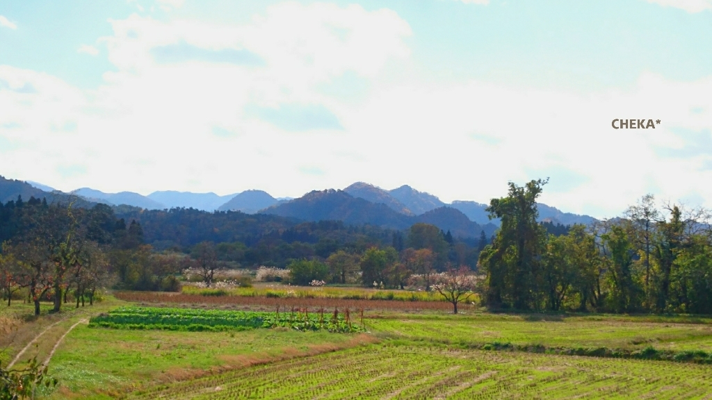 紅葉狩り  カメラ女子_c0229025_08183779.jpg