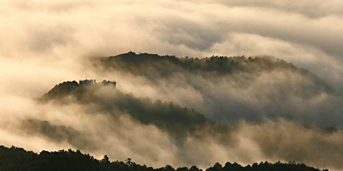 f0211225_09445728.jpg