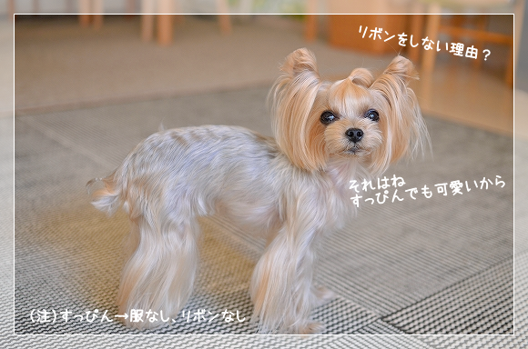 d0179828_12522576.png
