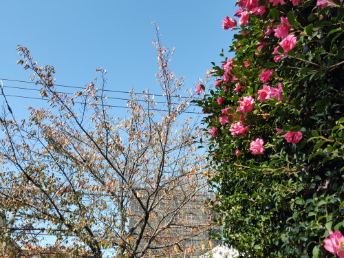 e0016828_09015809.jpg