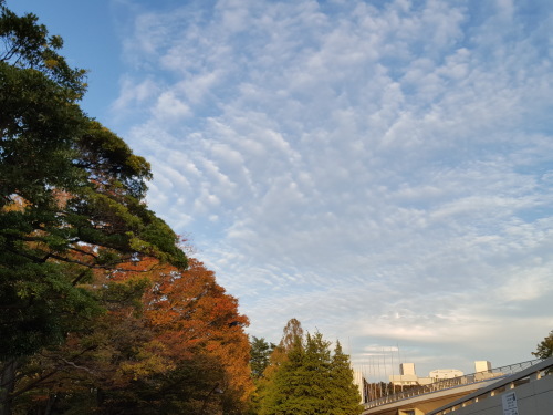 e0016828_09024391.jpg