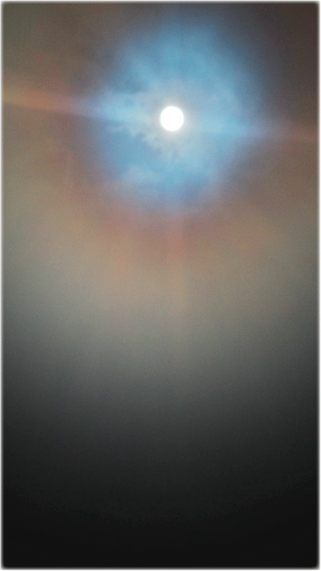 c0107829_09174213.gif
