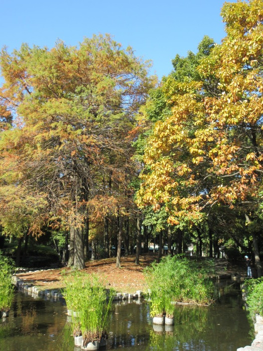 b0014732_08105301.jpg