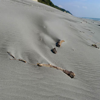 c0019338_21513868.jpg