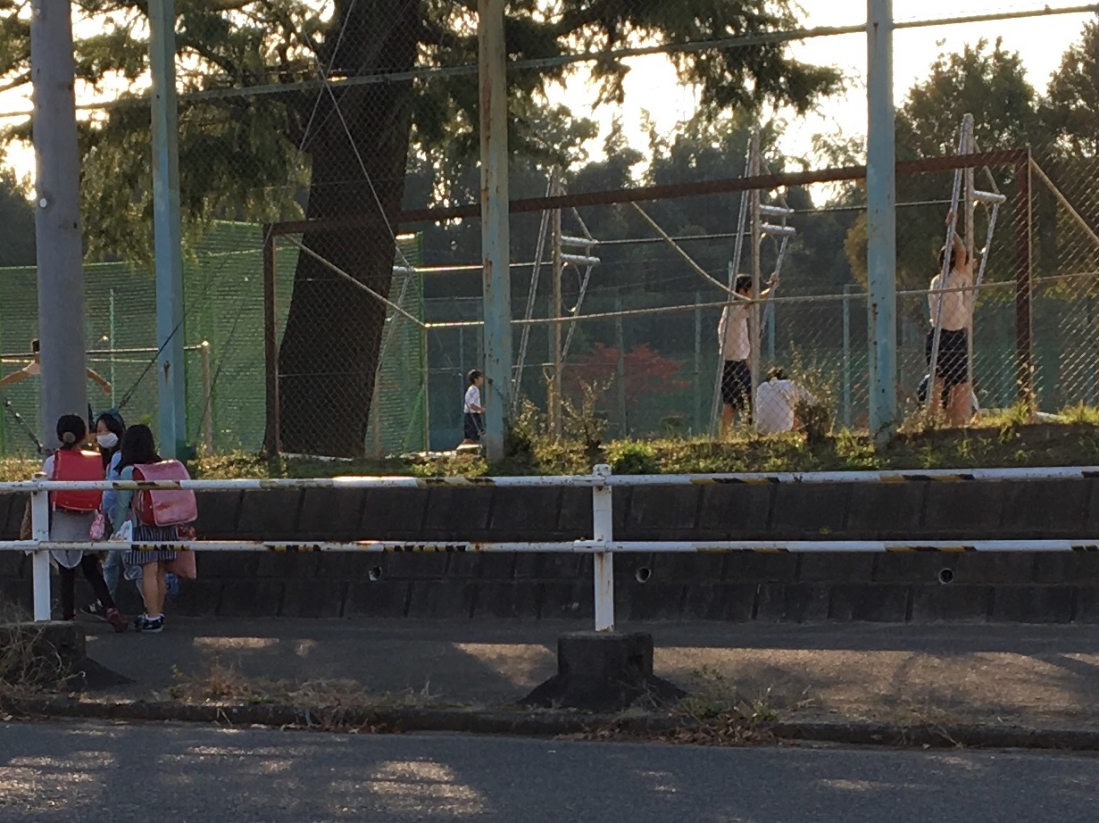 かしの木山自然公園…自転車で行く_b0330040_22593621.jpeg