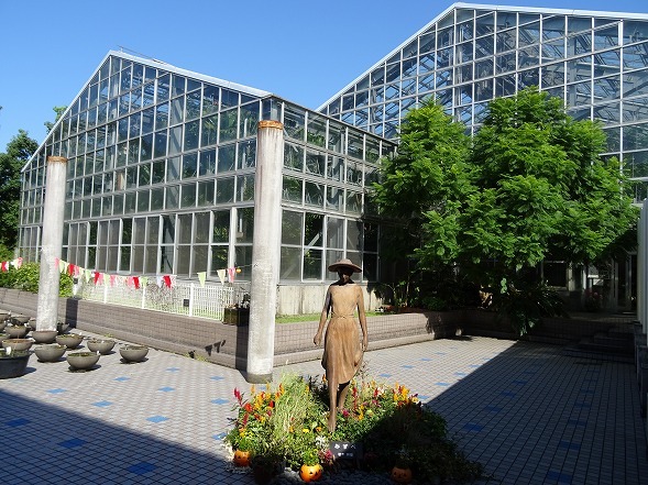 宇治植物園 温室の花と長居植物園 バラ展 彩の気まぐれ写真