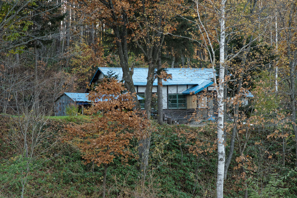 f0080743_23163941.jpg