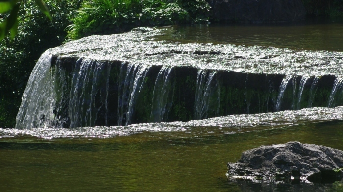 d0185744_19394840.jpg