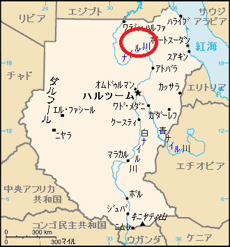 世界の砂漠 スーダン ヌビア砂漠と野生のラクダと夕陽 ヤスコヴィッチのぽれぽれblog