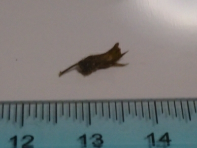 c0330749_18004907.jpg