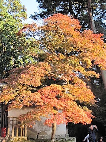f0379049_02260570.jpg