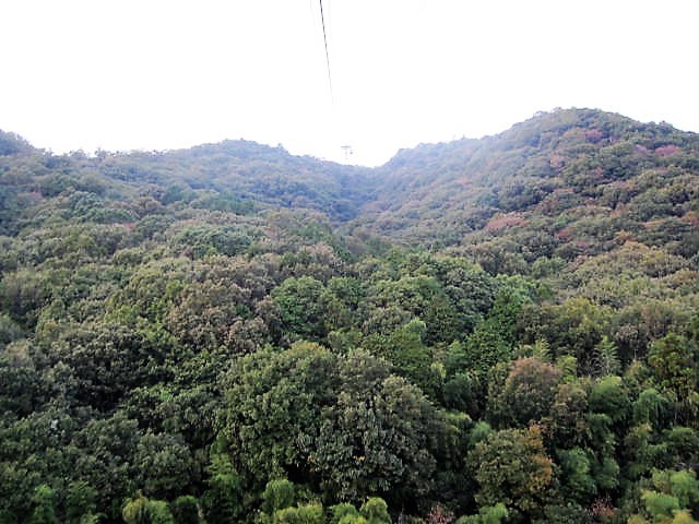 f0379049_02261103.jpg