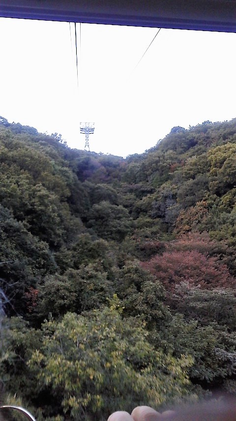 f0379049_02263273.jpg