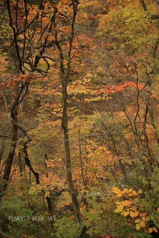 c0145250_10110056.jpg