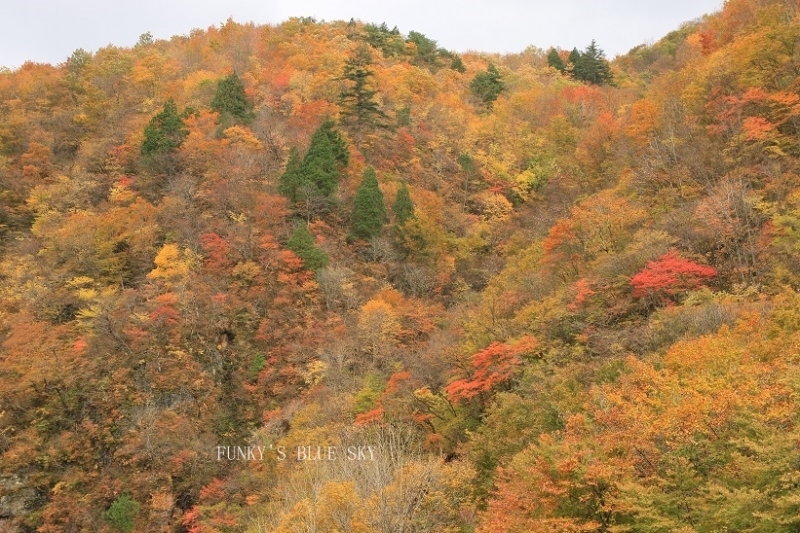 c0145250_10110493.jpg