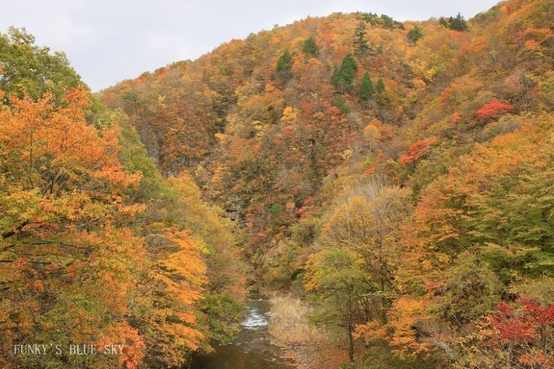 c0145250_10110909.jpg