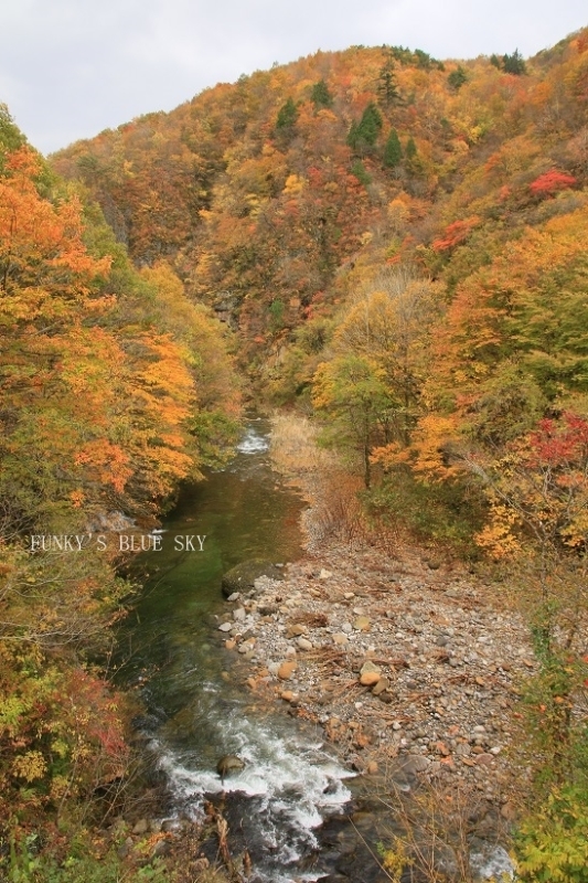 c0145250_10111236.jpg
