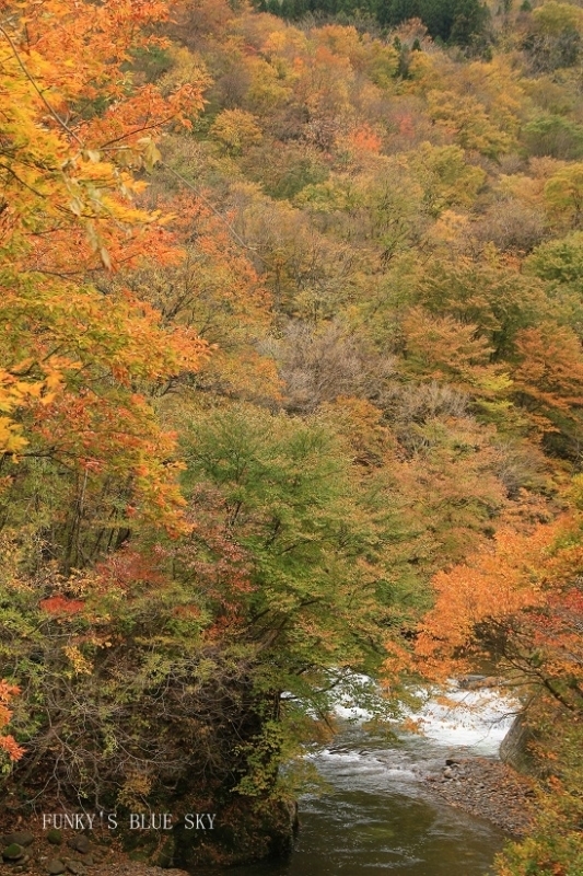 c0145250_10112062.jpg