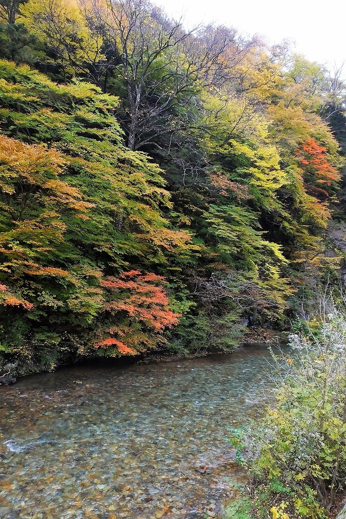 b0236251_11330086.jpg