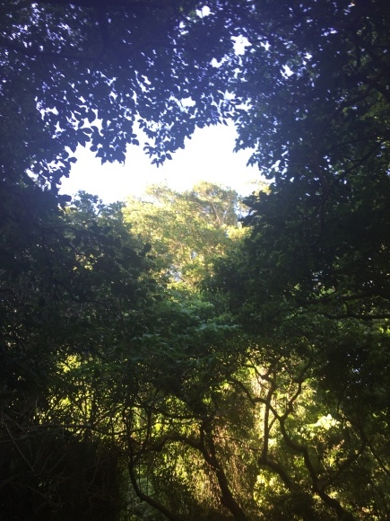 f0367954_11531921.jpg