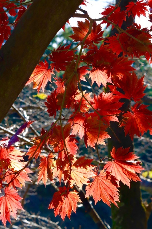 a0248459_15294710.jpg