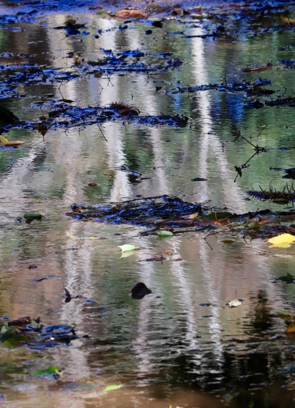 a0248459_15322897.jpg