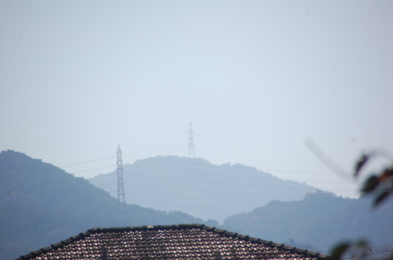 ヨトウムシ退治 活き生き In 岬町