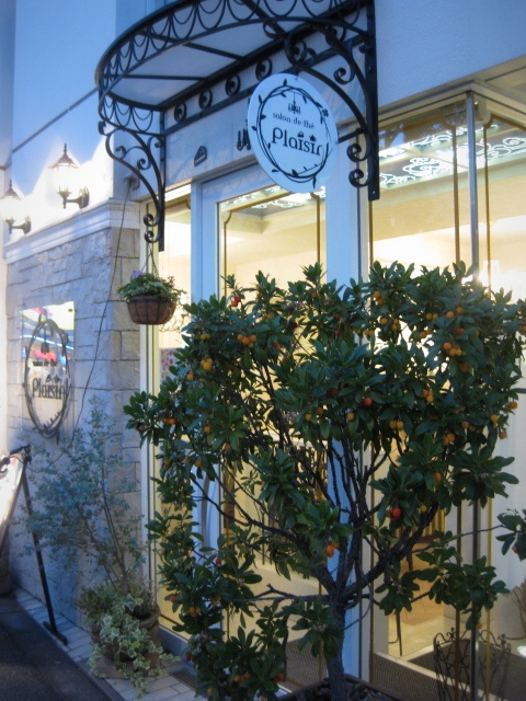フランス流ティーサロン*サロン・ド・テ プレジール @大阪・南堀江_f0236260_21454115.jpg