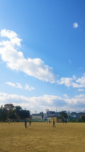 d0174664_08192644.jpg