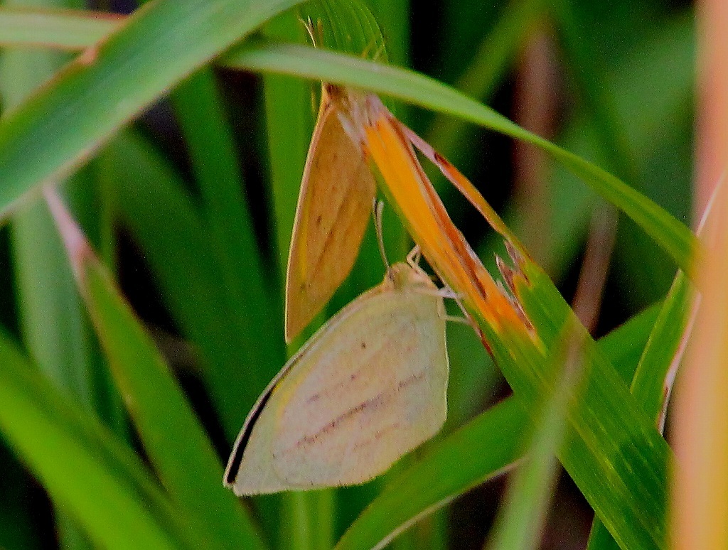 b0320769_16212636.jpg