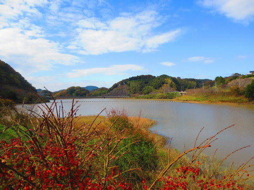 f0096569_07035984.jpg