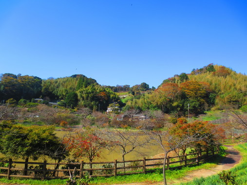 f0096569_07121023.jpg
