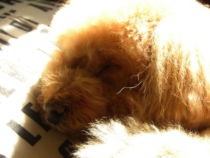 c0162773_14433094.jpg