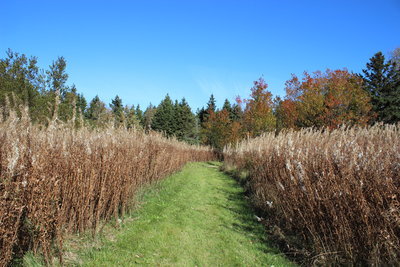 c0353373_09033800.jpg
