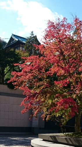 e0212073_16202487.jpg