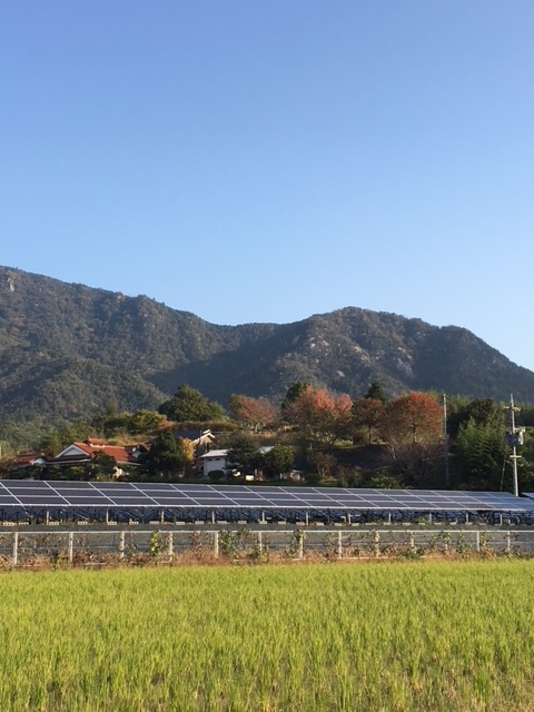 深まる秋を感じながら　〜ここ数日の風景〜_c0334574_19142612.jpg