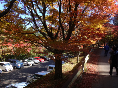 裏英彦道の紅葉（福岡県添田町）_d0182075_06391163.jpg