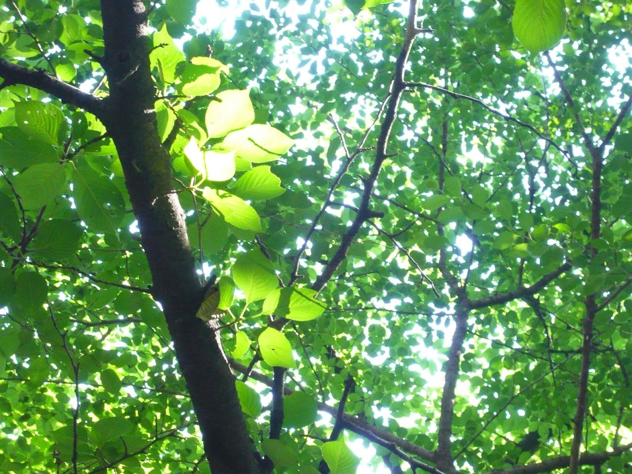 e0159875_09334326.jpg