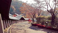 a0234877_19070376.png