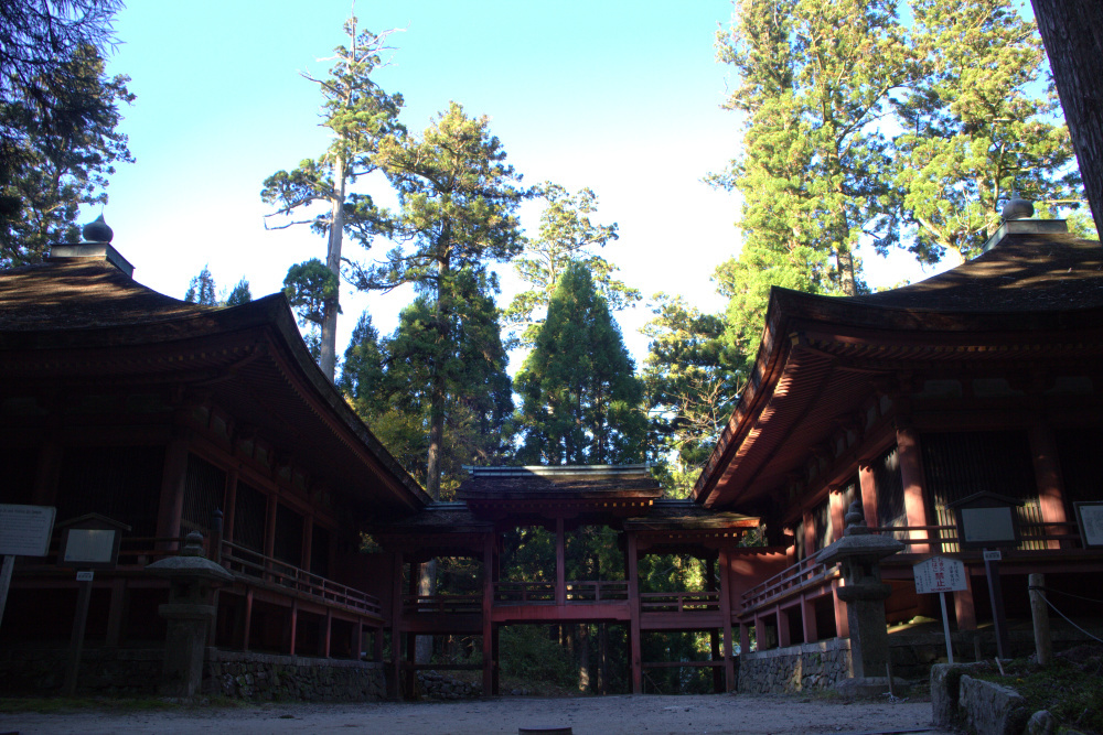 秋の訪れ　　比叡山延暦寺　　西塔_b0122979_08064297.jpg