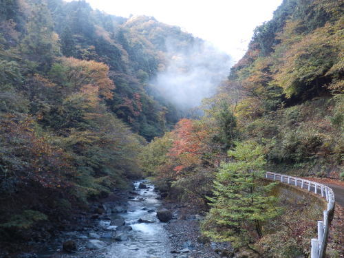 b0334084_21563254.jpg