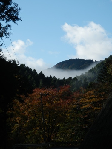 b0334084_21564885.jpg