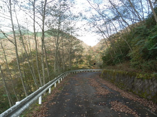 b0334084_22052440.jpg