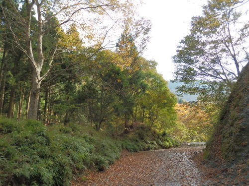 b0334084_22064455.jpg