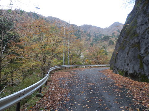 b0334084_22082296.jpg