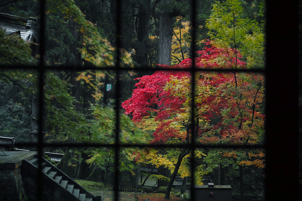 #DP3m　禅の里・永平寺 #紅葉_c0059485_19184224.jpg