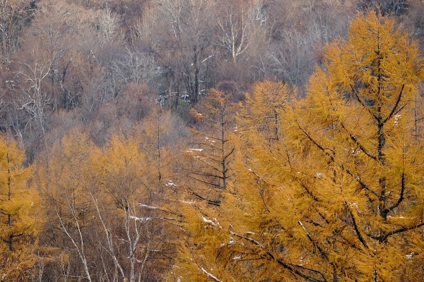 e0051186_20484025.jpg
