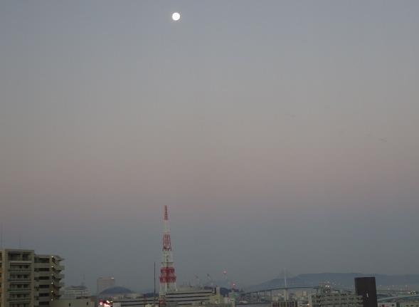 f0166694_21393419.jpg