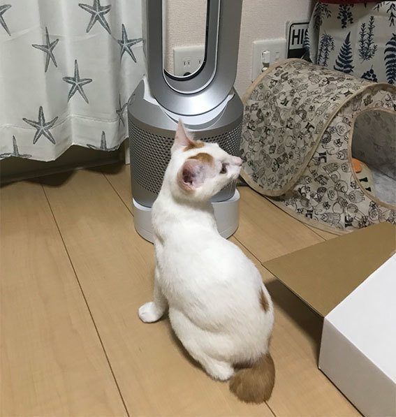 トロロのトライアル通信♬&クレオ通信〜♬_d0071596_22251901.jpg